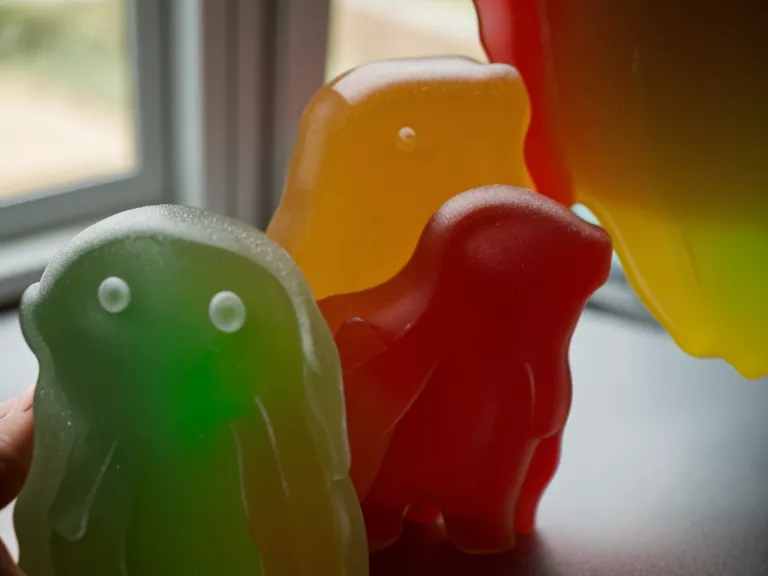 A hand holding two PrimeBiome probiotic gummies, the premium gummy alternative to a budget capsule supplement
